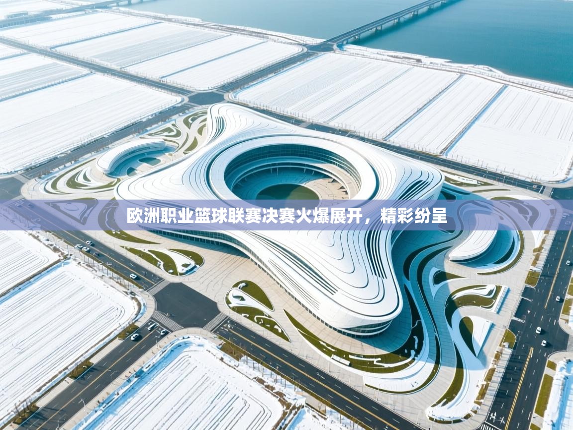 欧洲职业篮球联赛决赛火爆展开,精彩纷呈 第1张