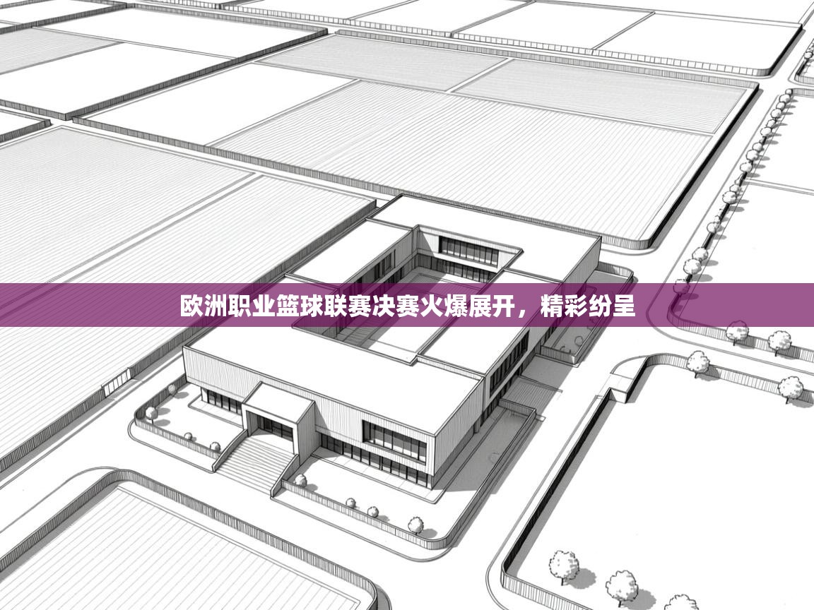 欧洲职业篮球联赛决赛火爆展开,精彩纷呈 第2张