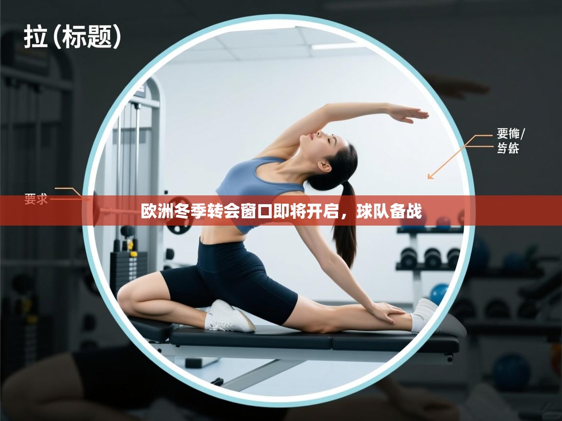 欧洲冬季转会窗口即将开启,球队备战 第1张