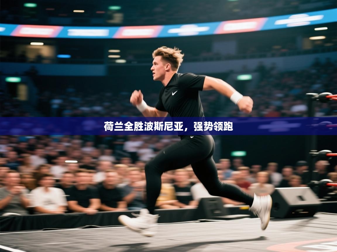 荷兰全胜波斯尼亚,强势领跑 第1张