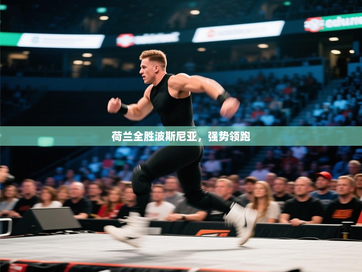 荷兰全胜波斯尼亚,强势领跑 第2张